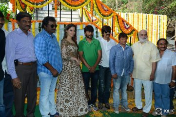 Bengal Tiger Movie Opening